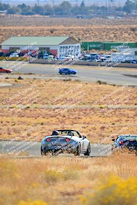 media/Nov-16-2024-Extreme Speed (Sat) [[6587d07cc4]]/Gold Group/Session 1 (Turn 2)/